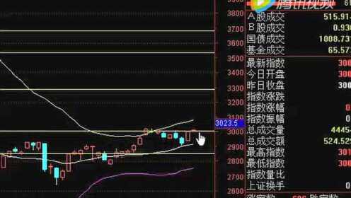 最新抄底视频，市场底部机遇与挑战的深度解析