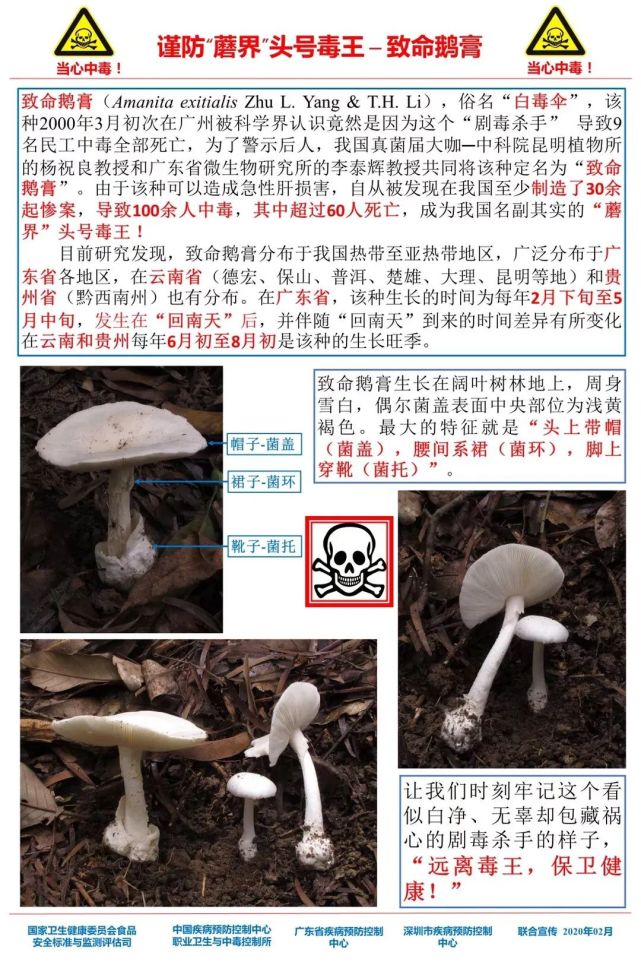 警惕新澳门精准四肖期期——揭开赌博背后的陷阱与风险