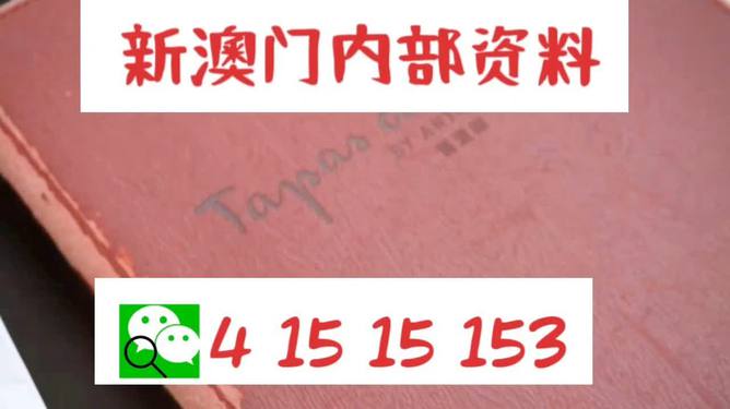 关于4949澳门精准免费大全小说的违法犯罪问题探讨