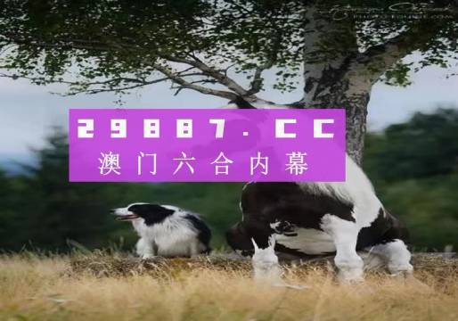 籽跃 第2页