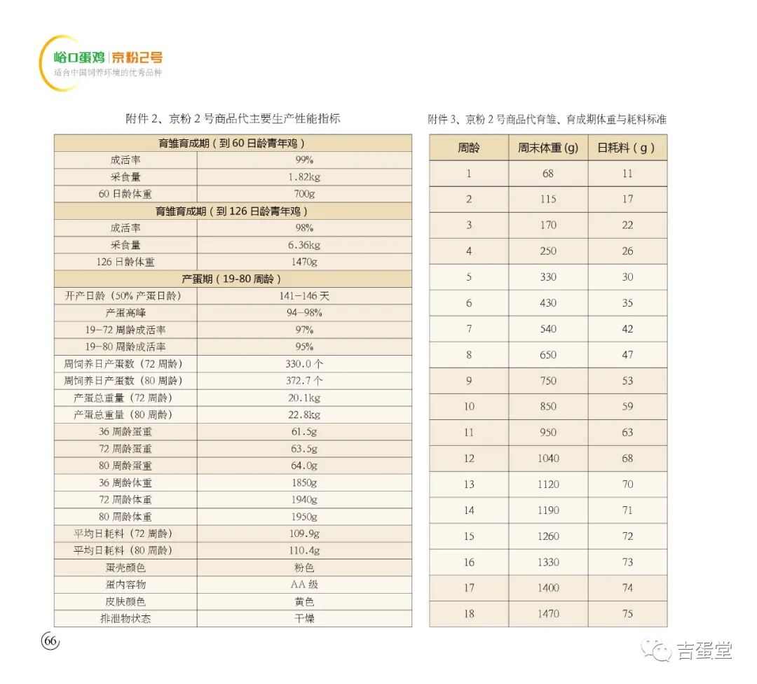 新澳2024年免资料费，一个深入解析的探讨