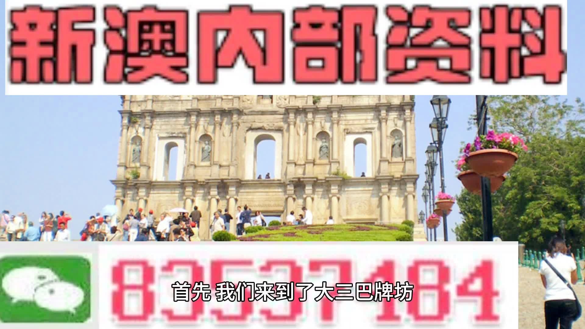 关于新澳2024年精准资料32期的违法犯罪问题探讨