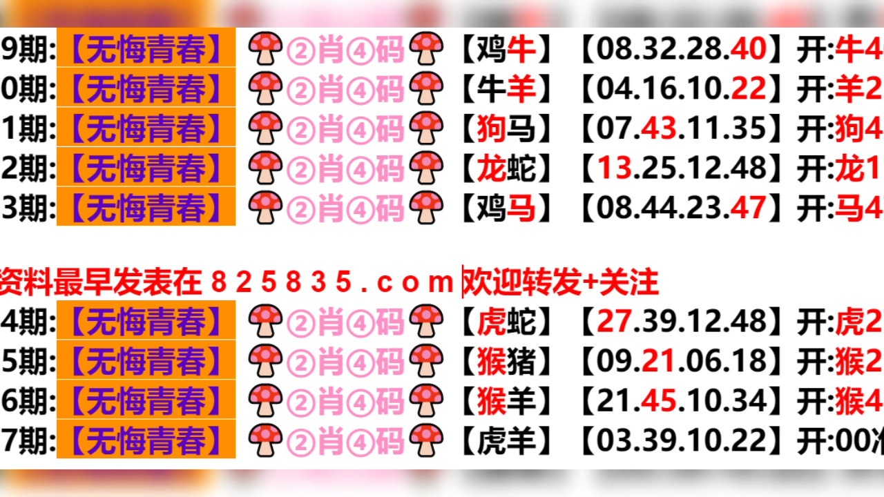 新澳门天天开好彩背后的探索与挑战——五伏之迷