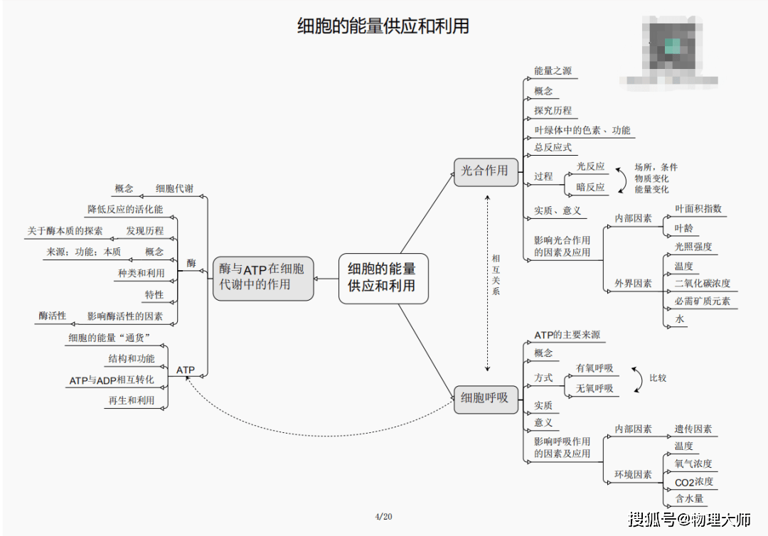 三肖必中三期必出资料——揭示犯罪行为的真相与危害