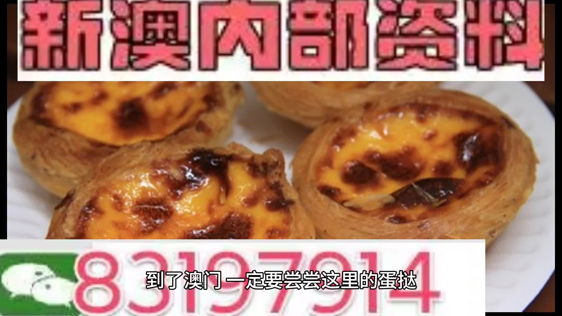 2024新澳正版免费资料大全