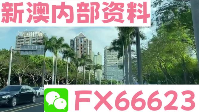 新澳精准资料免费提供305，探索与启示