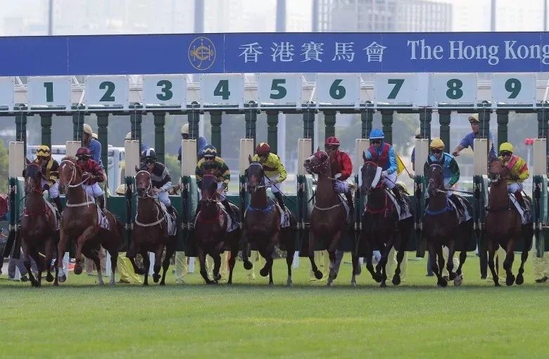 揭秘香港马会彩票，探索2024年今期开奖号码的奥秘