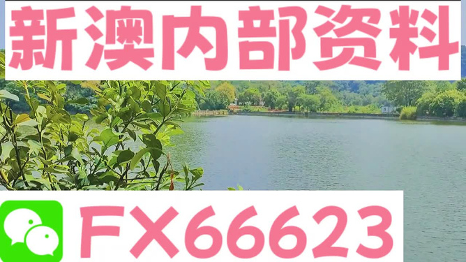 新澳精准资料免费提供，探索第265期的奥秘与价值