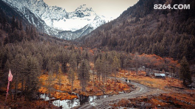 最新采山之旅，探索自然之美