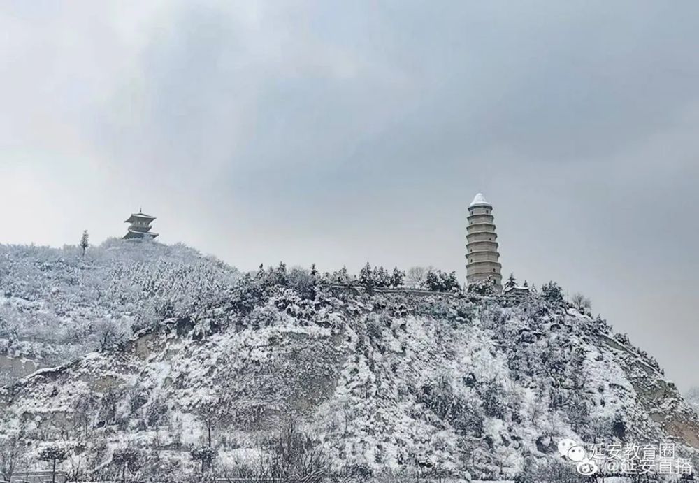 最新延安雪