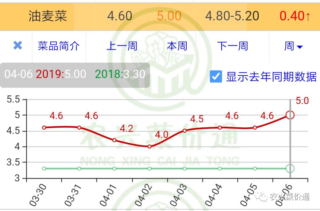 万邦疏菜批发最新价格概览