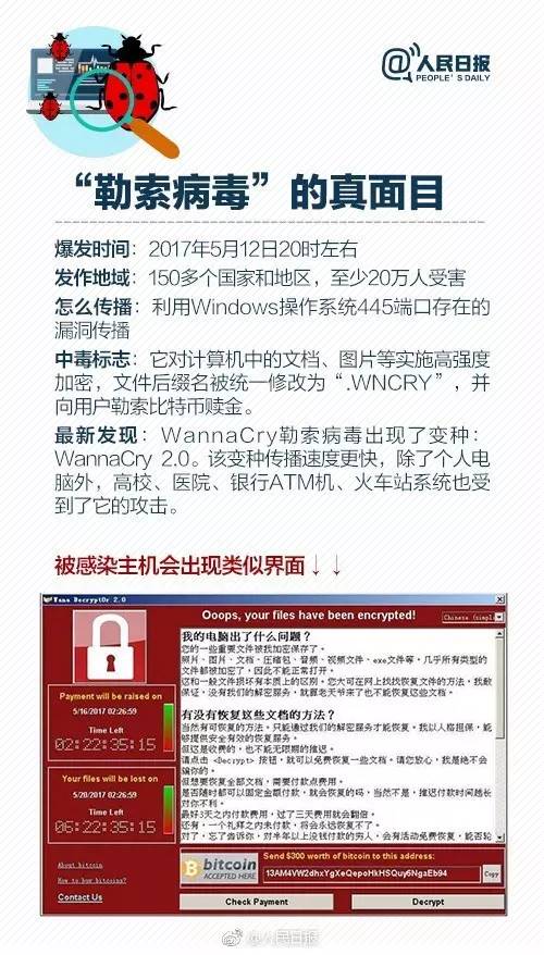 最新网络病毒，威胁、挑战与应对策略